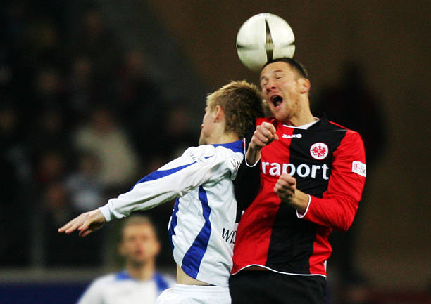 失去了在绿 失去了在绿