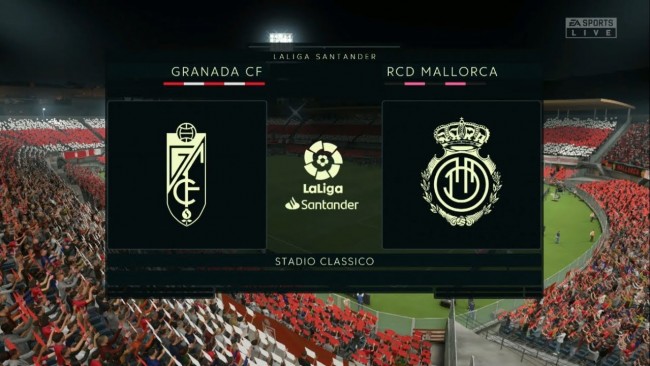 佩德里与哈 佩德里与哈