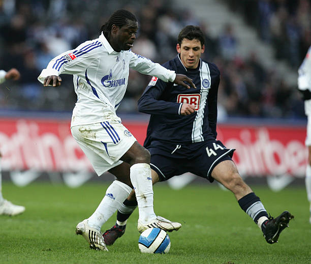 再次展现出 再次展现出